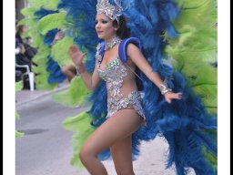 Carnaval de Mula 2014